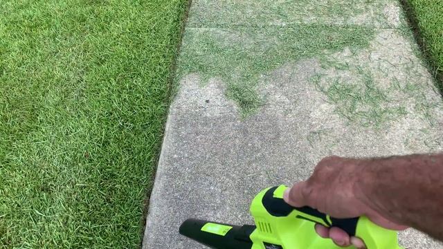 UNBOX & REVIEW - Snapfresh Cordless Leaf Blower