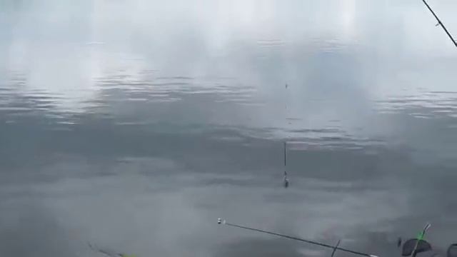 Соревнования по спортивной рыбалке г. Димитровград 12.07. 2015 Лесная Хмелевка смотреть онлайн
