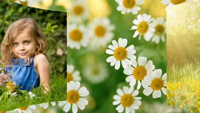 Эффект рамки. Панорама. Эффект лупы. смотреть онлайн