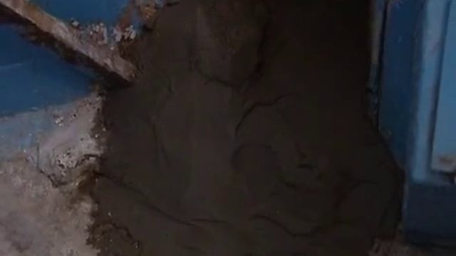 Крысы атакуют жилой дом в Череповце смотреть онлайн