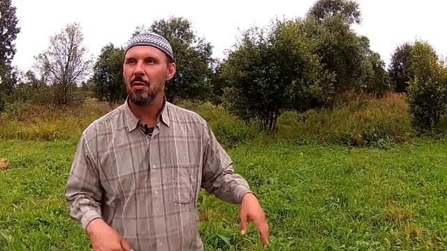 Как мы коз водили // Из города в деревню смотреть онлайн