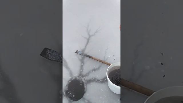 очередной этап карпят смотреть онлайн