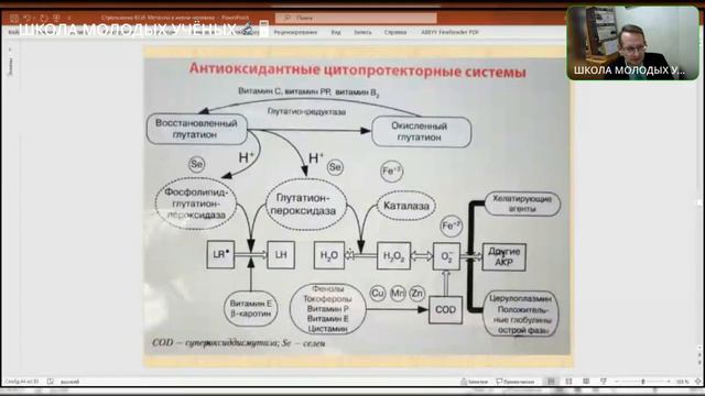 Патофизиология тяжелых металлов #патофизиология #металлы #тяжелые #философиямедицины смотреть онлайн