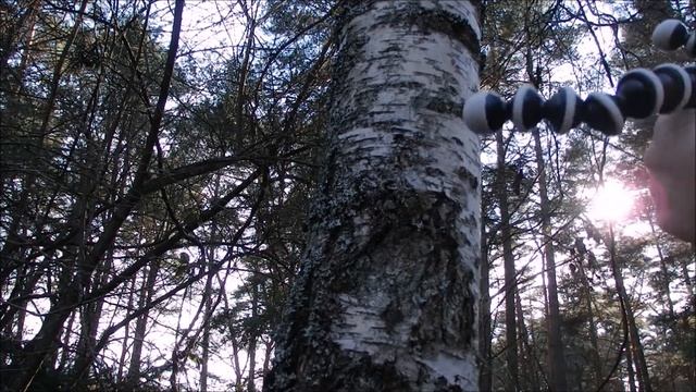 тренога/ штатив для фотоаппарата/ телефона. Large Flexible gorilla tripod from aliexpress смотреть онлайн