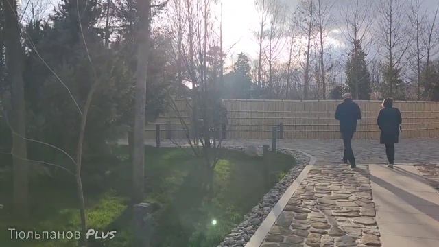 Весь Японский сад в парке Галицкого за 60 минут. Японский сад. Парк Галицкого. Russia, Krasnodar. смотреть онлайн