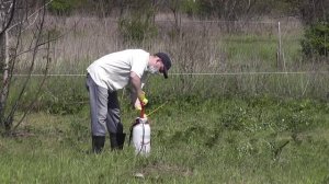 Опрыскиваем участок гербицидом "Торнадо" .