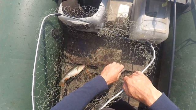 Прикол на рыбалке. Я ржал полчаса.!!! смотреть онлайн