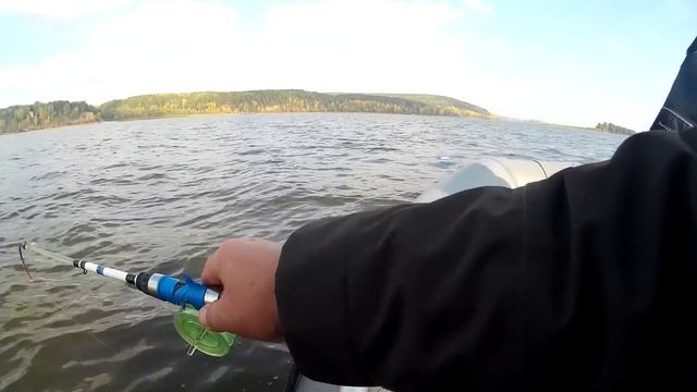 Ловля судака в отвес