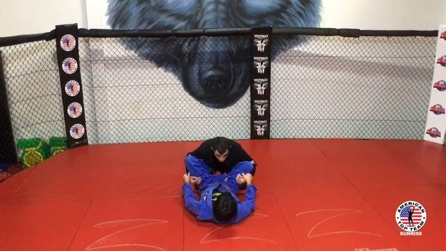 VIRTUAL BJJ with SENSEI Felipe Liborio!!! смотреть онлайн