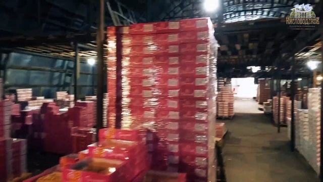 Прогулки по Пятигорску / Гастрономический маршрут / Часть 2 - Продуктовые рынки п. Горячеводский смотреть онлайн