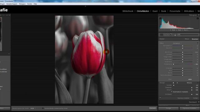 Adobe Lightroom 4 Tutorial Selectief Zwart-Wit смотреть онлайн