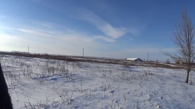Охота на зайца. 31 декабря 2014 год. Саратовская область. смотреть онлайн