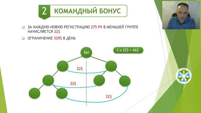 Сколько можно Зарабатывать в ГРИНЛИФ?