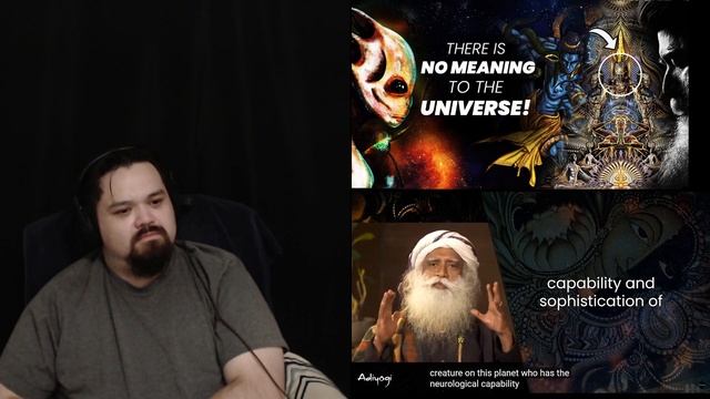 Adiyogi There Is No Meaning To The Existence React смотреть онлайн
