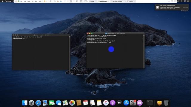 flask environment setup on macos смотреть онлайн
