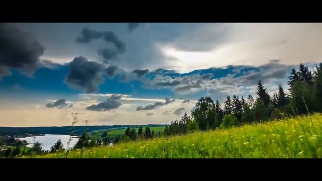 дымовые шашки против пероедов КЛЕЩЕЙ блох МОЛИ и др насекомых смотреть онлайн