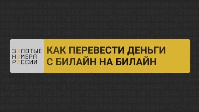 Как перевести деньги с билайн на билайн смотреть онлайн