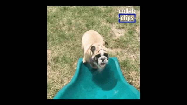 Этюд "С горки" смотреть онлайн