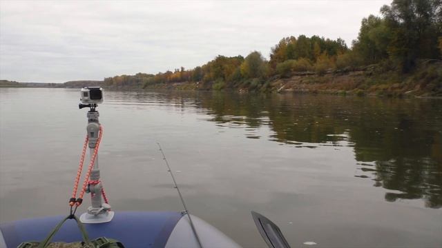 СУДАКИ И ЩУКИ РВУТ ЭТОТ ТВИСТЕР В КЛОЧЬЯ. Рыбалка на Оке осенью смотреть онлайн