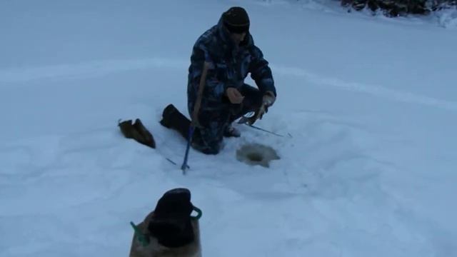 хорошащая щука на лесном озере смотреть онлайн