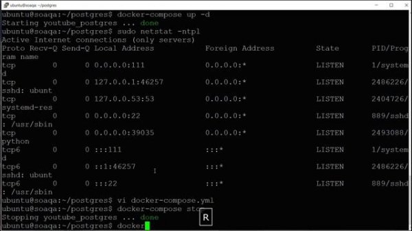 Запускаем Postgres в Docker при помощи docker-compose и подключаем к нему Django