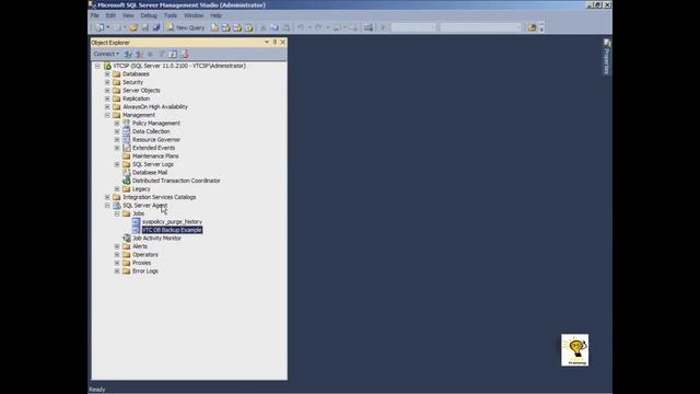 SQL Server 2012 (70-462) - 7. Automating SQL Server 2012 смотреть онлайн