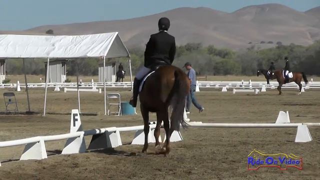 060D Jamie Lawrence on True Distraction Preliminary Rider Dressage Twin Rivers Ranch Sept 2015 смотреть онлайн
