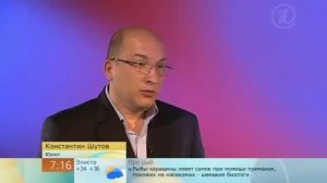 Обязанности Инспектора ГИБДД при остановке автомобиля