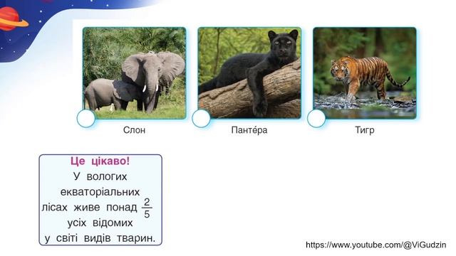 Я пізнаю світ (урок 103 тиждень 12) 4 клас "Інтелект України" смотреть онлайн