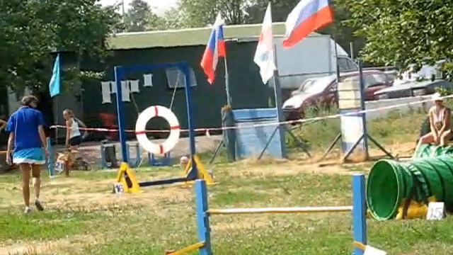 Первенство России по Аджилити смотреть онлайн