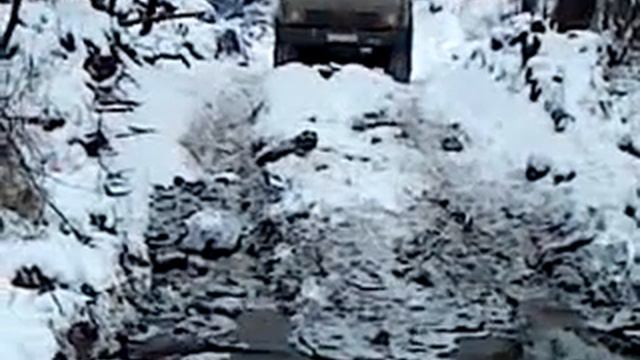 тайга в амурской области смотреть онлайн