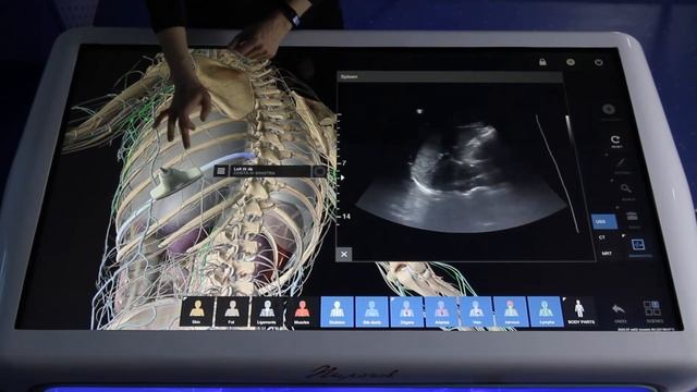 Pirogov Interactive Anatomy table смотреть онлайн
