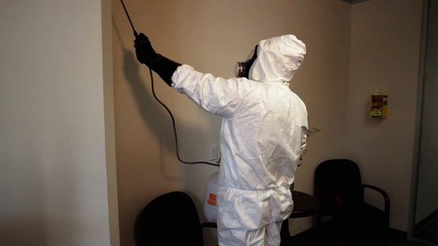 Apprenticeships (Before they were famous) #NAW2020 смотреть онлайн