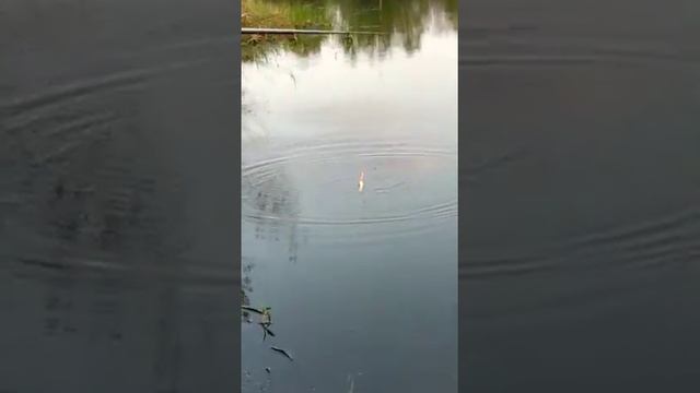 На рыбалке смотреть онлайн