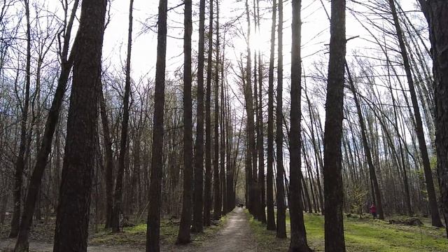 Неверный банкир гнобил жену-детдомовку, обзывая «подстилкой»… Но ответ сироты сразил наповал… смотреть онлайн