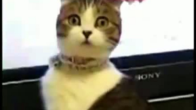 Сила сети смотреть онлайн