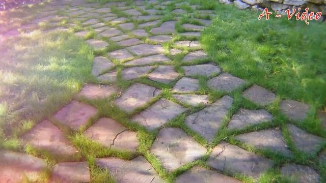 ?Красивые идеи для воплощения на собственном участке / Great ideas for the garden смотреть онлайн