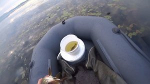Вот это повезло Ловля на кружки Супер клев Щука съела всего живца