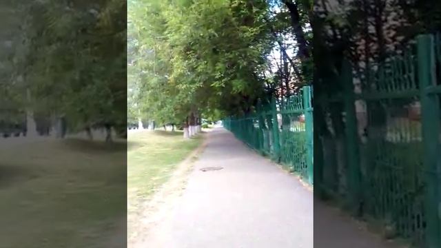 Голуби убийцы смотреть онлайн