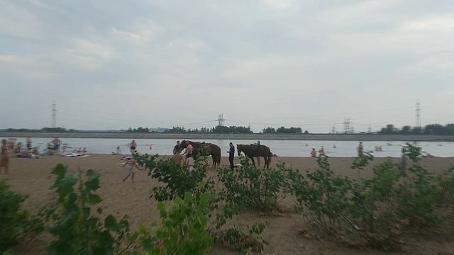 Лучше жить по плану или нет? смотреть онлайн