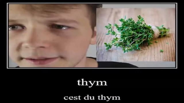 Avez vous vue cette image ? смотреть онлайн