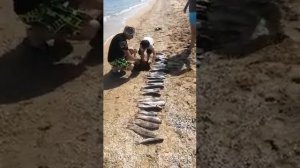 Рыбалка с отдыхом в Витязево.