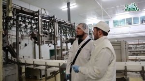 Как производят курицу халяль: убой птицы по стандарту халяль на примере бренда ЭКО Халяль, Мордовия
