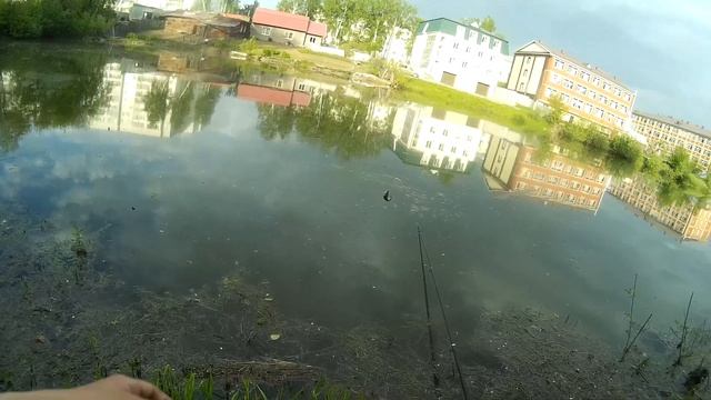 БЕШЕННЫЙ КЛЁВ КАРАСЯ НА ПОПЛАВОК! Ловля в черте г. Томска. смотреть онлайн