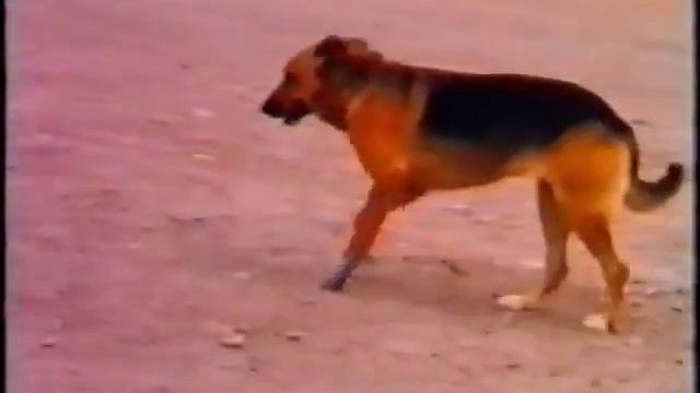 Пусть они живут! смотреть онлайн