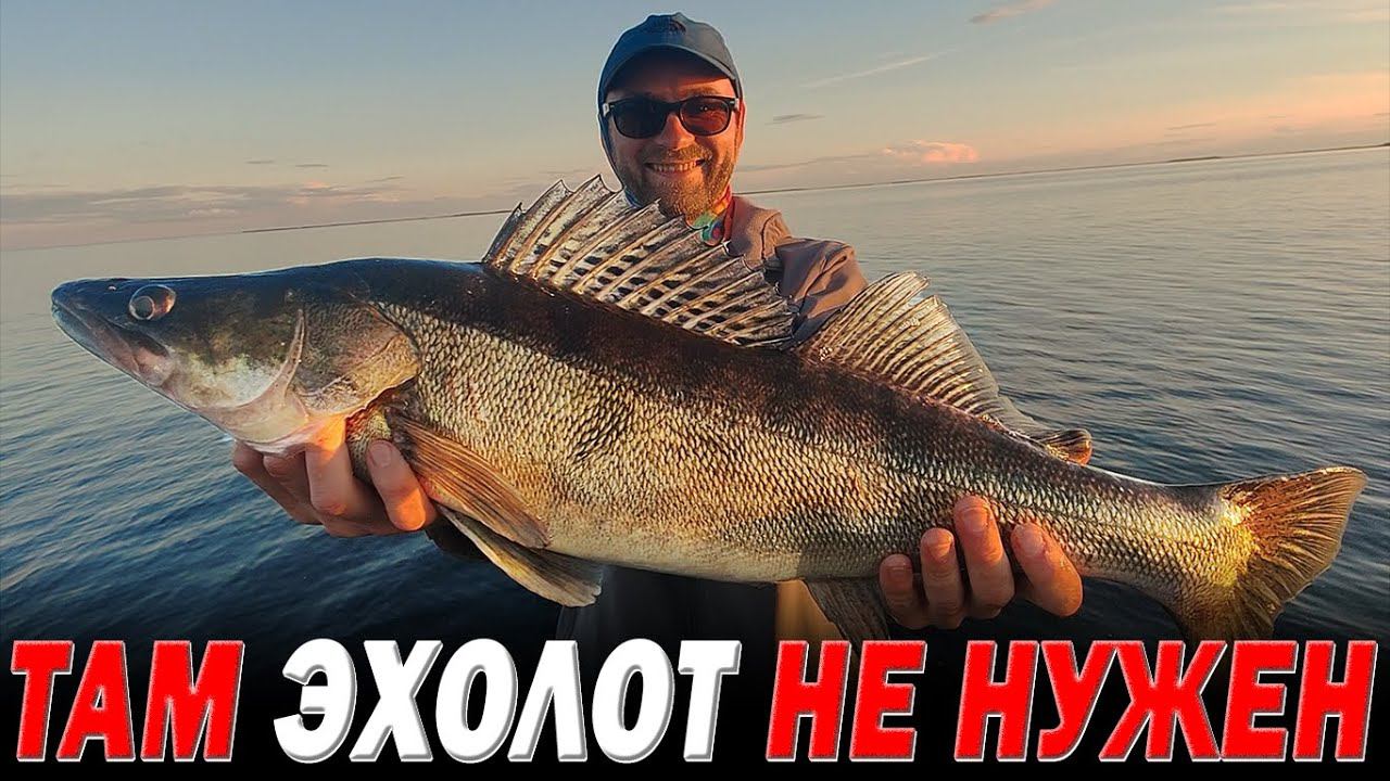 Там эхолот не нужен! Раздача судака на водохранилище. Рыбалка - Путешествие смотреть онлайн