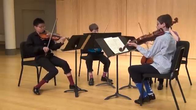 Funny Socks Group Haystack Chamber Music Camp: Haydn Quartet In D Major Op. 64 No. 5 