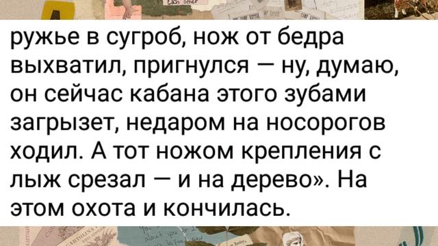 Работа, как праздник...? | Свежайшая подборка Смешных Историй смотреть онлайн