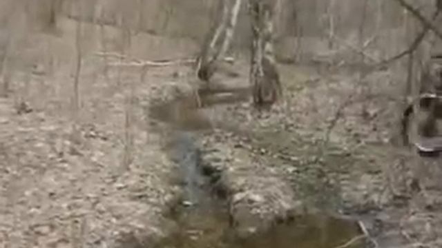 Мотоциклетных дней забавы смотреть онлайн