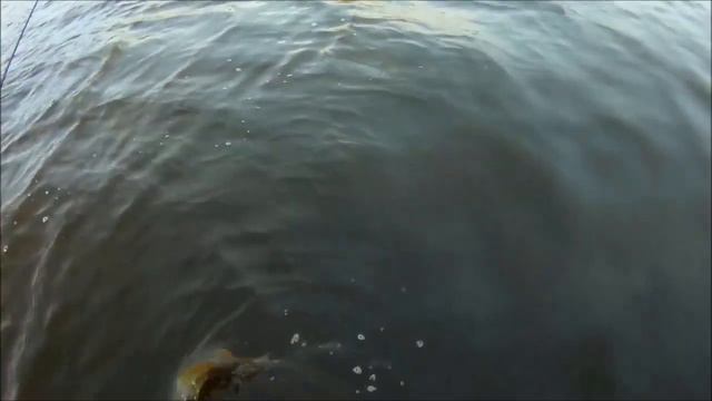 ВОБЛЕРЫ С АЛИЭКСПРЕСС В ДЕЙСТВИИ ЛУЧШИЕ КОПИИ ВОБЛЕРОВ ИЗ КИТАЯ смотреть онлайн